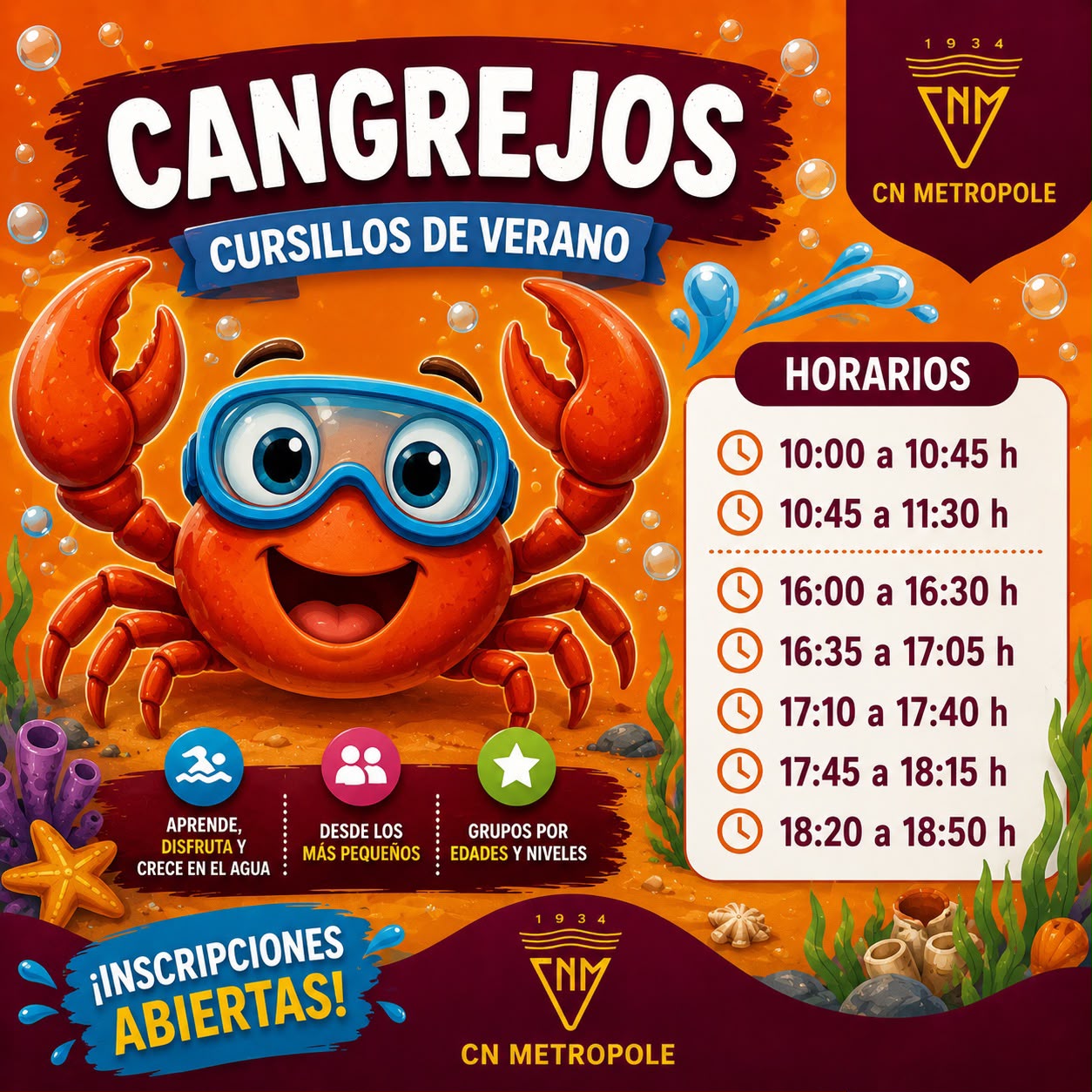 Cangrejos cursillos de verano